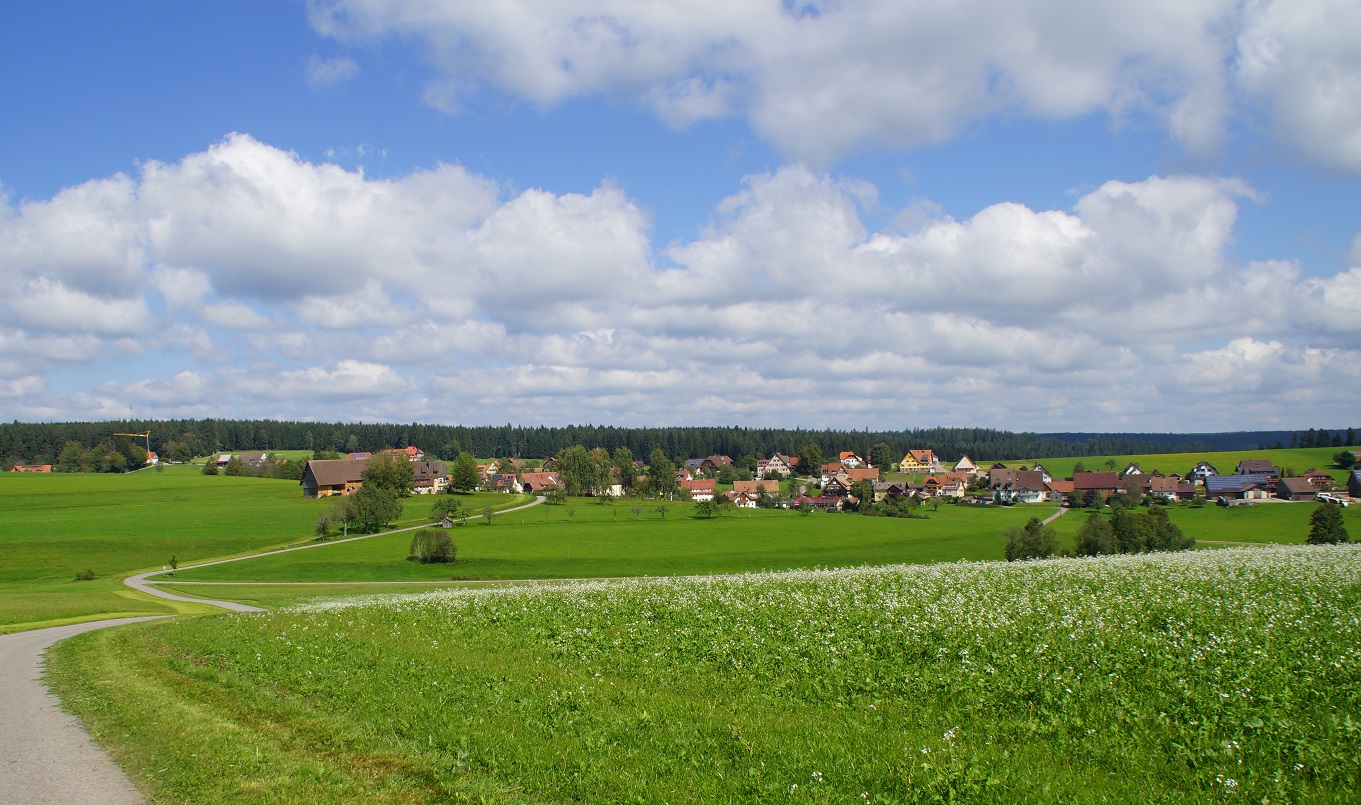 Infos für Besucher und Touristen Igelsberg